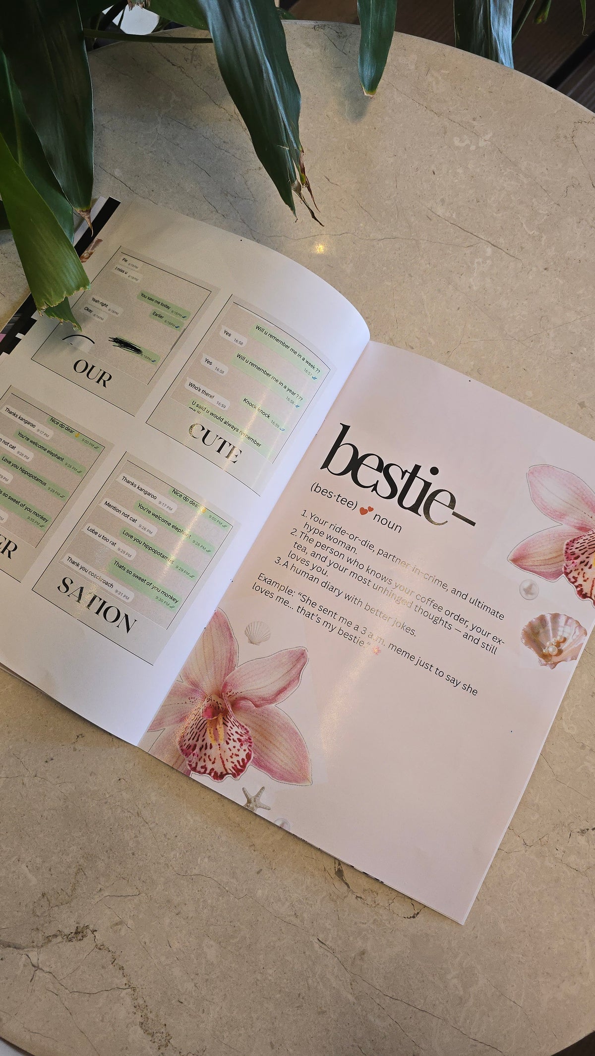 Friendship Edition Magazine